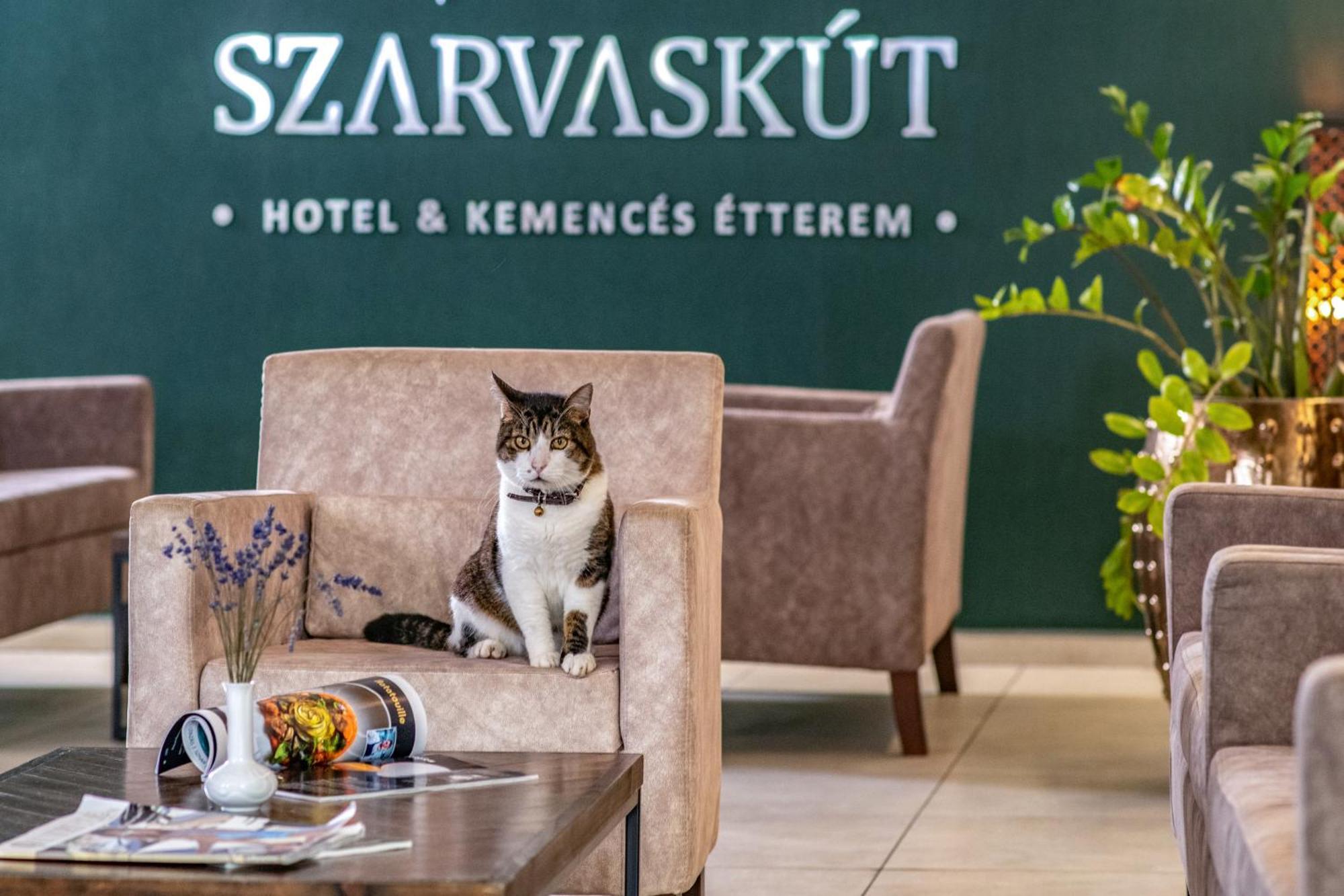 Szarvaskut Hotel Zirc Dış mekan fotoğraf